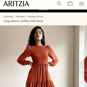 Aritzia rozalyn dress